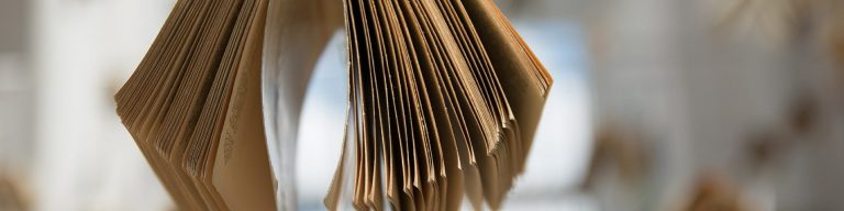 Wie viele Seiten hat ein Roman? - schreib-einfach